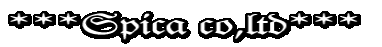 ***Spica co,ltd***