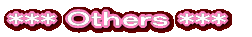 ***�A�N�Z�T���[***