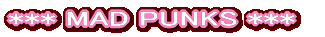 ***�A�N�Z�T���[***