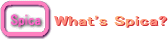 Spica�̏Љ�y�[�W�ł�