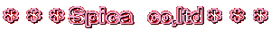 r@co,ltd